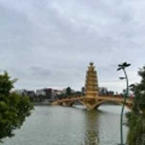 Đào Ngọc Tùng